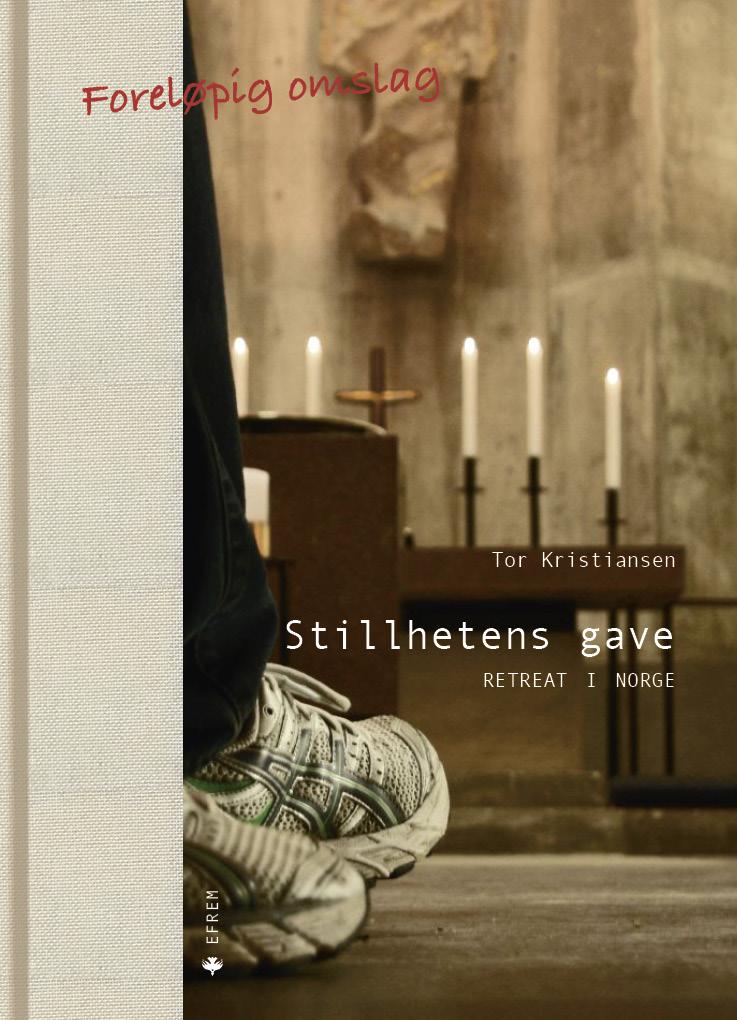 Bokomslag Stillhetens Gave